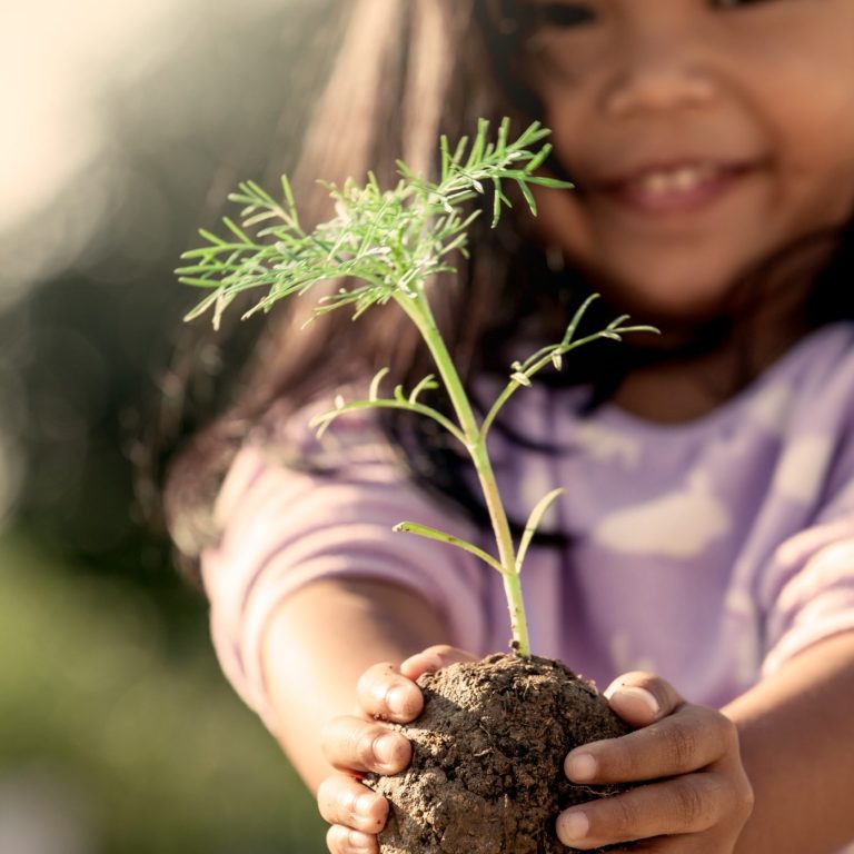 Girl smiling holding a small tree seedling in her hands